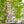 Metal Garden Trellis 4 Pack Rustproof Climbing Plant Supports