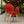 4 Piece Set of Single Chairs With a Design Combining Modern and Traditional Elements