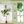 6FT Artificial Fiddle Leaf Fig Tree, Realistic Faux Potted Plant