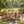 7 Pieces Acacia Wood Outdoor Dining Set – Modern Style