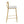 Modern Charlotte - Contemporary Fixed Height Counter Stool (Set of 2)