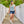 Women's Free 2 Explore Hybrid Short