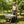 Folding Poly Garden Dump Truck with Steel Frame and Pneumatic Tires
