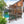 Outdoor & Indoor Freestanding Decorative Privacy Screen