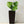 Indoor Outdoor Planter With Automatic Watering System
