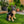 Outdoor Dog Statues German Shepherd Dog Statue for Garden