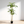 5' Artificial Dracaena Tree