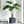 Large Outdoor Indoor Magnesium Oxide Planter Set of 4