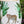 13x13x18 Ceramics Garden Stool Jungle-Themed Accent Side Table