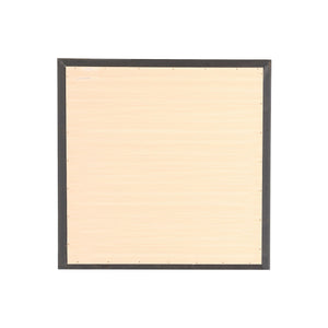 Burlington - Modern Design Transitional Wall Mirror