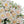 Artificial Snow Lotus Potted Plant, Artificial Floral Decor For Indoor & Outdoor Spaces - White / Pink