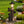 Black Bear Statue Welcome Sign Garden Statue with Solar Light