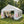 10'x20' Carport Canopy Tent with Removable Sidewalls