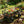 Wagon Cart Garden Cart Trucks Make It Easier to Transport Firewood