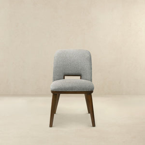 Blake - Modern Dining Chair (Set of 2)