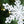 Set of 6 Iron Snowflake Hanger Christmas Tree Ornaments