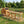 Large Chicken Coop with Nest Box and Run