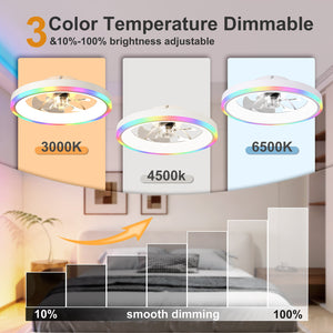 19.7" Modern RGB Ceiling Fan with Lights