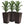 Outsunny Set of 3 Tall Planters