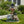 Sitting Pug Dog Planter Statue