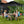 2-Tier 10 x 10 Feet Pop-up Canopy Tent with Wheeled Carry Bag-Black