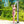 7.2 Feet Solar-Heated Outdoor Shower with Free-Rotating Shower Head