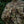 M-Tac Pouch for Night Vision Monocular PVS-14