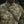 M-Tac Pouch for Night Vision Monocular PVS-14