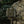 M-Tac Pouch for Night Vision Monocular PVS-14