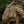 M-Tac Pouch for Night Vision Monocular PVS-14