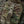 M-Tac Pouch for Night Vision Monocular PVS-14