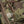M-Tac Pouch for Night Vision Monocular PVS-14