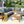 4 Pieces Outdoor Acacia Wood Sofa Set with Coffee Table