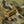 M-Tac Backpack Sturm Elite