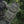 M-Tac Backpack Sturm Elite