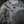 M-Tac Backpack Sturm Elite