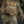 M-Tac Plate Carrier Lower Accessory Pouch Gen.II Large Elite