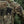 M-Tac Front Panel for Cuirass QRS Three Mags Plate Carrier