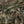M-Tac Front Panel for Cuirass QRS Three Mags Plate Carrier