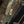 M-Tac Front Panel for Plate Carrier Cuirass QRS (4 Magazine)