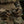 M-Tac Cobra Buckle Tactical Belt Laser Cut