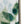 Framed Printed Acrylic Decorative Wall Art, Wall Decor For Living Room (Set of 2) - White / Green