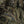 M-Tac Tactical War Belt Tiger D-Ring Cobra