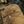 M-Tac Sturm Elite Gen.II Backpack