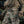 M-Tac War Belt ARMOR Tegris D-Ring Cobra