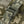 M-Tac Plate Carrier Cuirass Elite Gen.II