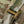 M-Tac Plate Carrier Cuirass Elite