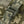 M-Tac Plate Carrier Cuirass Elite