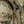 M-Tac MOLLE Backpack for Plate Carrier Elite