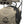 Walkers XCEL 100 Digital Active Hunting Shooting Ear Hearing Protection Earmuffs